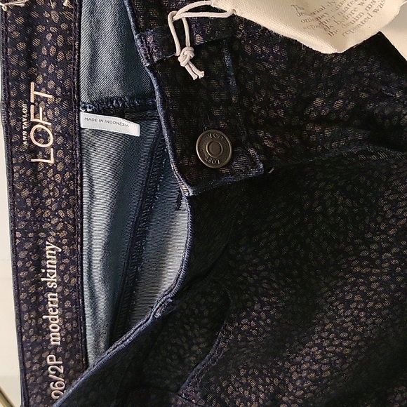 Ann Taylor Loft Mosern Skinny Jean 2P - Picture 1 of 4